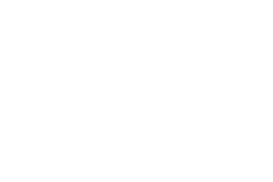 SDA Najja White logo